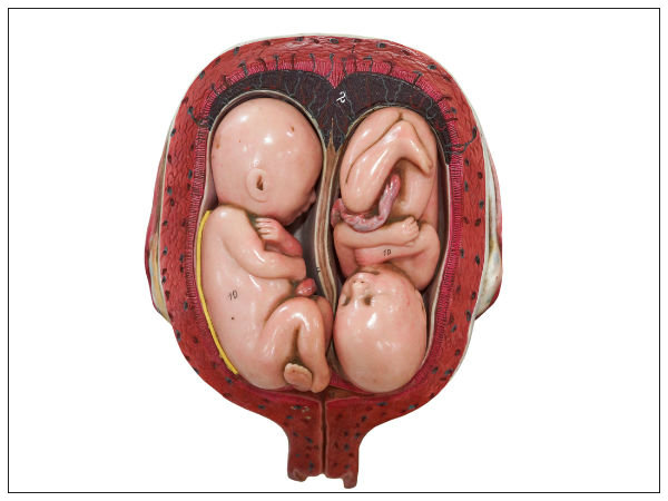 പാരമ്പര്യം