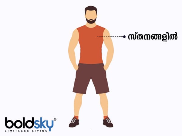 സ്തനങ്ങളില്‍