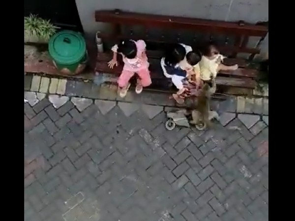 Monkey Riding A Bike Grabs Toddler, Drags Her