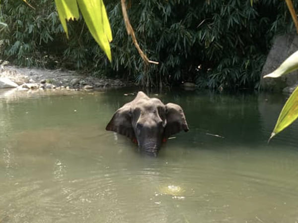 പൊള്ളലിന് ആശ്വാസം തേടി