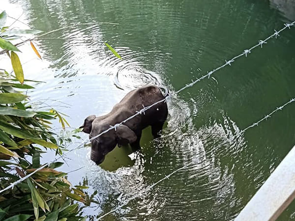 സാരമായി പൊള്ളലേറ്റു