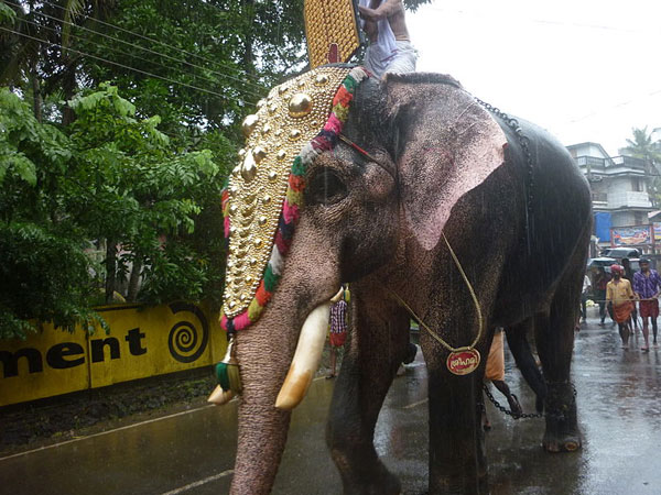 സംഭവം ഇങ്ങനെ