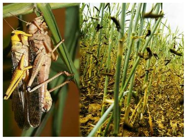 ആക്രമണം 27 വര്‍ഷത്തിനു ശേഷം