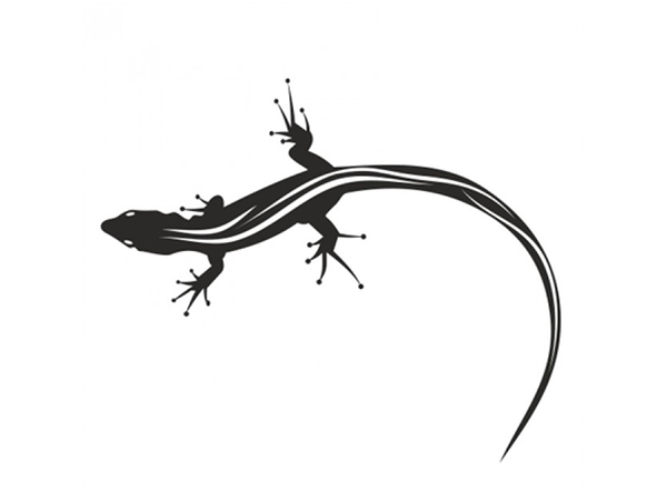 സ്ത്രീകളുടെ ദേഹത്ത് പല്ലി വീണാല്‍