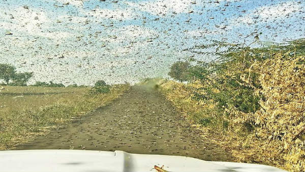 കൂടുതല്‍ അപകട സാധ്യത മണ്‍സൂണ്‍ മേഘലയില്‍