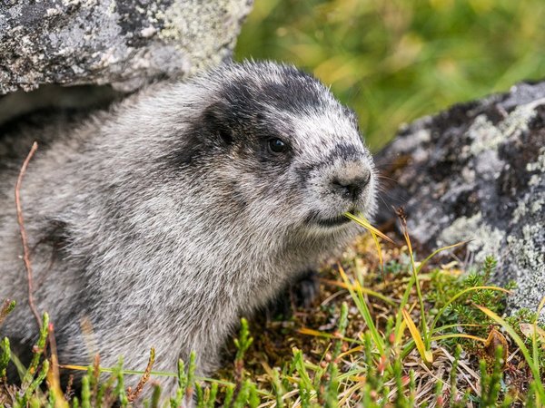 ലക്ഷണങ്ങള്‍ ഇവയാണ്