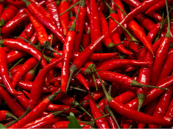 ചുവന്ന മുളക്