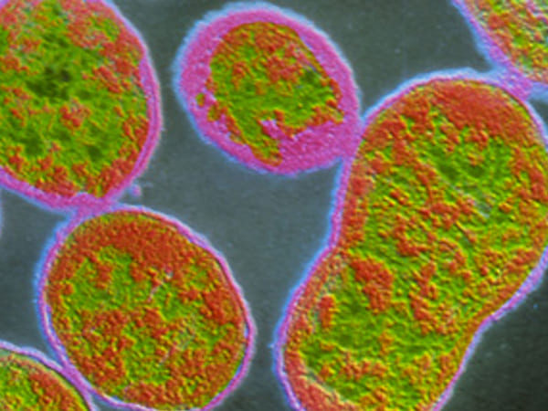 രോഗബാധ എങ്ങനെ