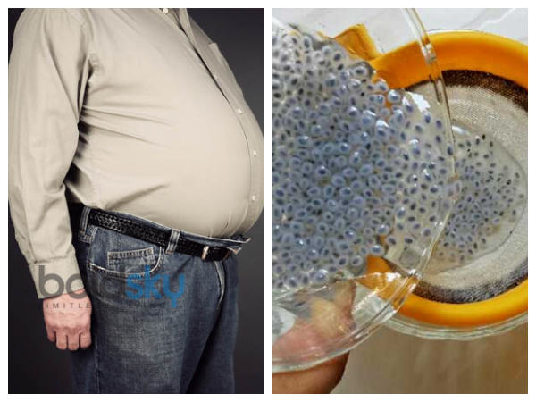 തടി കുറക്കാന്‍ ചിയ വിത്ത്