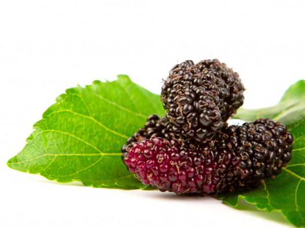 ശ്രദ്ധിക്കാന്‍