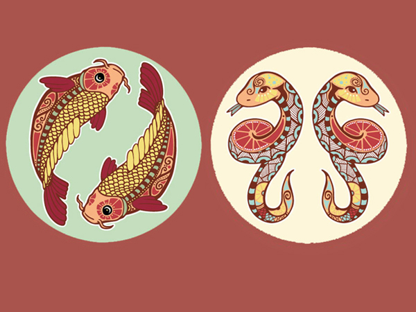 മീനം-മിഥുനം