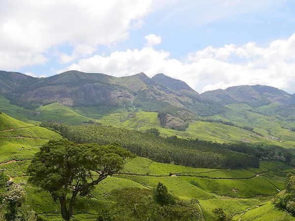 ഏറ്റവും കൂടുതല്‍ റബ്ബര്‍ ഉല്‍പാദിപ്പിക്കുന്ന സംസ്ഥാനം