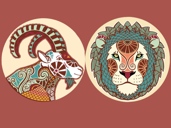 മകരം - ചിങ്ങം