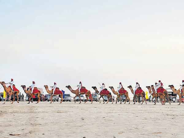 റാന്‍ ഫെസ്റ്റിവല്‍ 