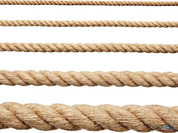 ഇന്ത്യയിലെ ആദ്യത്തെ കയര്‍ ഫാക്ടറി