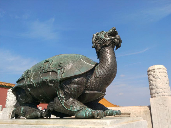 വിവിധ തരത്തിലുള്ള ഡ്രാഗണ്‍ ആമകള്‍