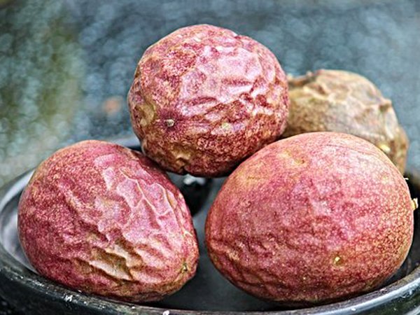  അസ്ഥികളെ ശക്തിപ്പെടുത്താം