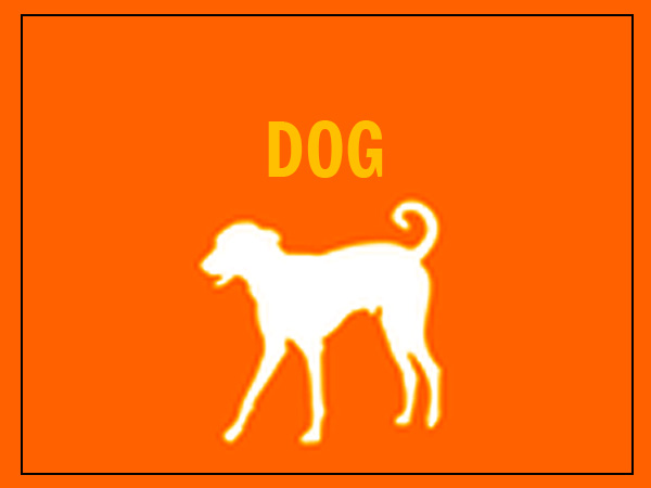 ഡോഗ് ഇയര്‍