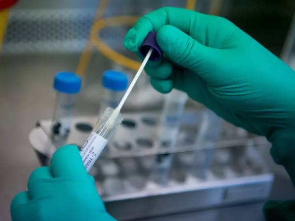 പക്ഷിപ്പനി പരിശോധനയ്ക്കുള്ള സൈറ്റുകള്‍