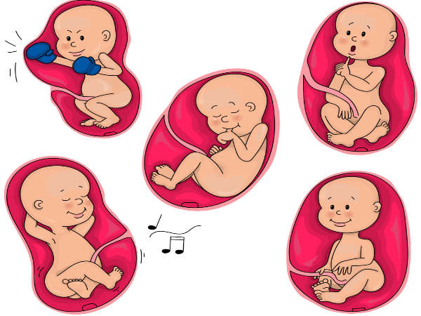 Woman Conceived Third Baby While Being Pregnant with Twins