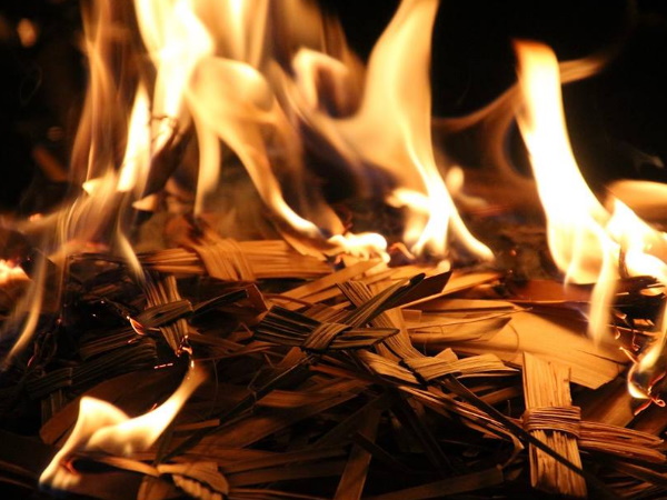 ബൈബിളില്‍ പരാമര്‍ശമില്ല