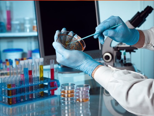 പതിനൊന്നാമത്തെ ദിവസം