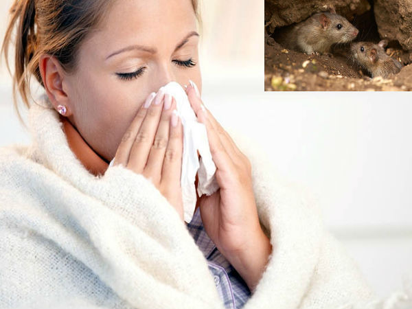 എലിപ്പനി