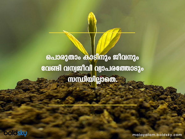 World Environment Day 2021