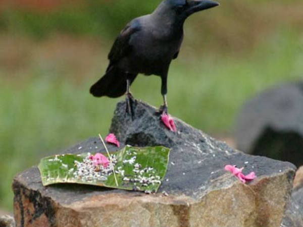 കര്‍ക്കിടക സംക്രാന്തിയിലെ ദാനകര്‍മ്മം