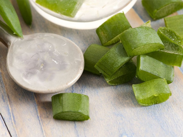 കറ്റാര്‍വാഴ ജെല്‍