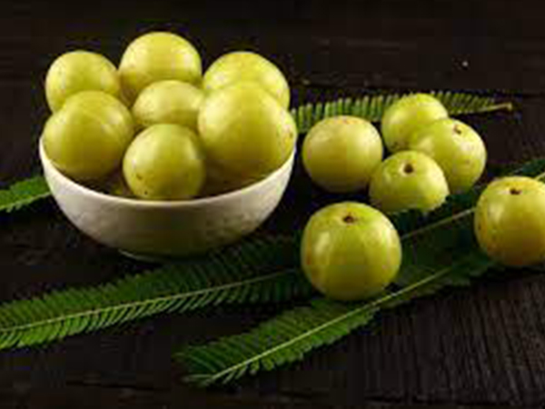 നെല്ലിക്ക