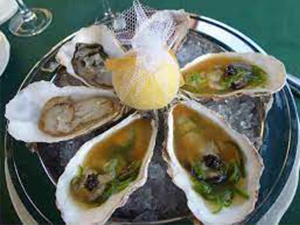 ഓയ്‌സ്റ്റര്‍