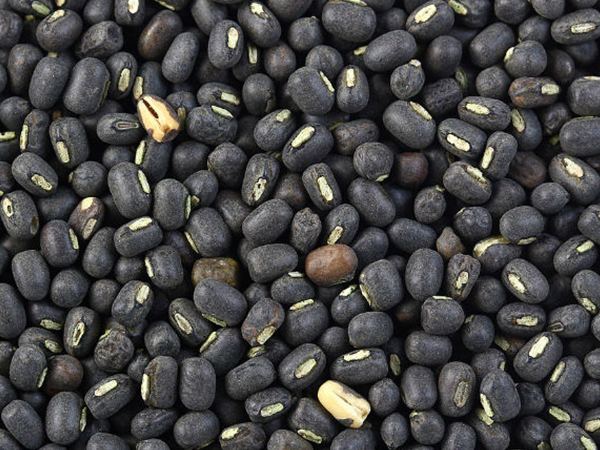 ഉഴുന്നു പരിപ്പ് ദാനം ചെയ്യുക