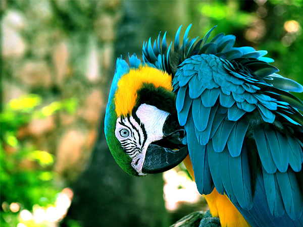 ദാമ്പത്യബന്ധം ശക്തിപ്പെടാന്‍