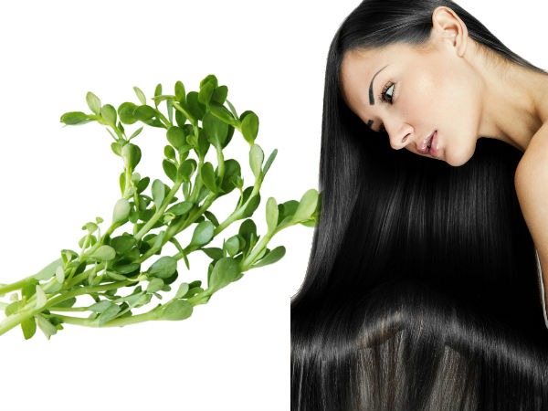 ബ്രഹ്‌മി ഹെയര്‍ പായ്ക്ക്