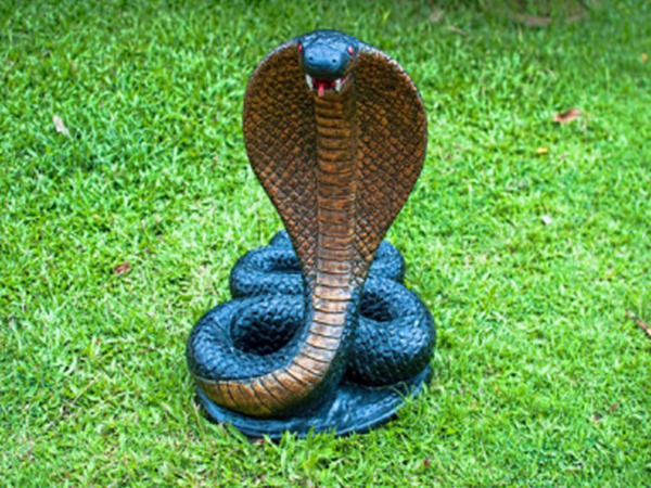 സര്‍പ്പാരാധനയുടെ വിശ്വാസങ്ങള്‍ 