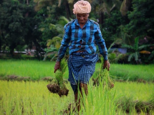 ദാനം ചെയ്യുക