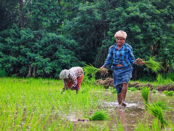 ധൂപം കത്തിക്കാവുന്നതാണ്