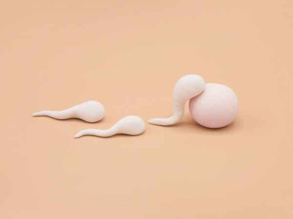 ലാപ്രോസ്‌കോപ്പി