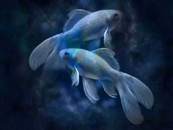 മീനം (ഫെബ്രുവരി 19-മാര്‍ച്ച് 19)