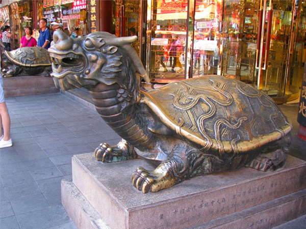 ഡ്രാഗണ്‍ ആമ