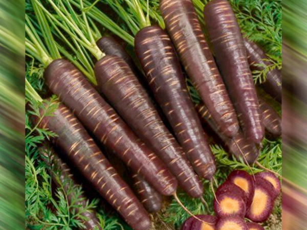 പോഷകങ്ങള്‍ നിറഞ്ഞത്