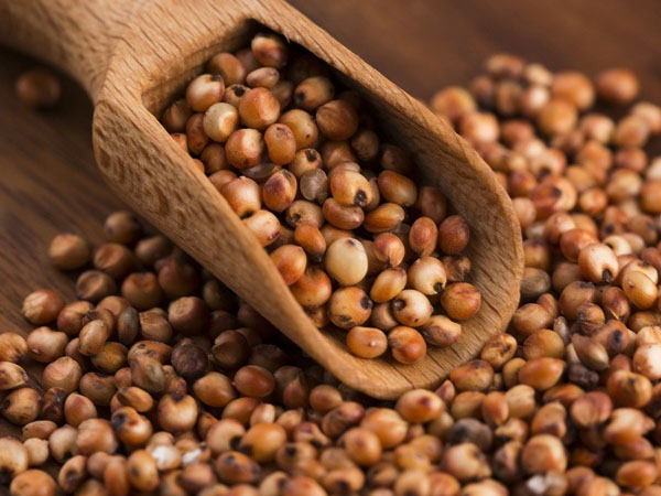 പ്രോട്ടീനും വിറ്റാമിനും 