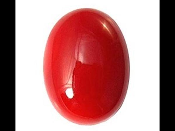 ചുവന്ന പവിഴം (Red Coral)
