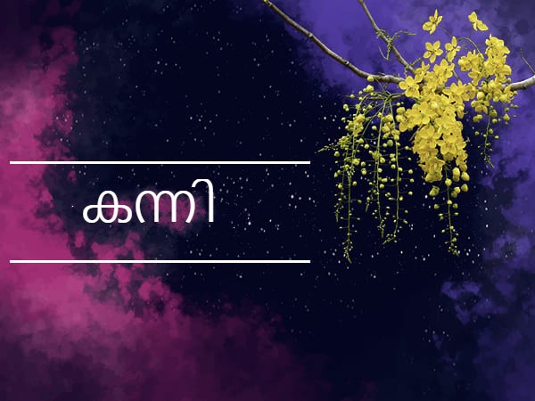 കന്നി രാശി