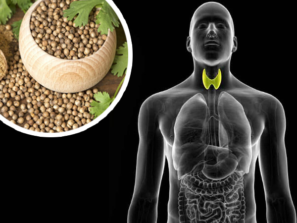 മല്ലി വെള്ളവും തൈറോയ്ഡും