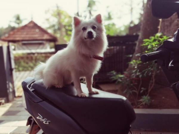  തിരിച്ചറിയാന്‍