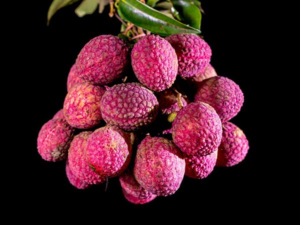 ലിച്ചി വിത്തുകള്‍