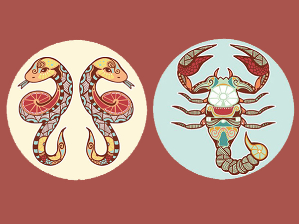 ചിങ്ങം രാശി