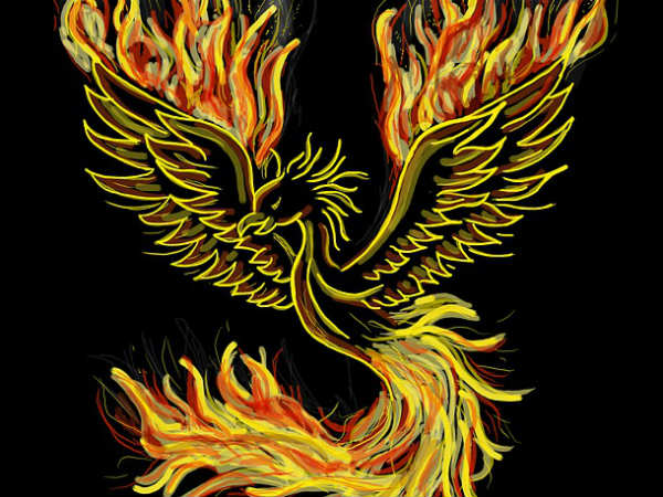 ഫീനിക്‌സ് പക്ഷി